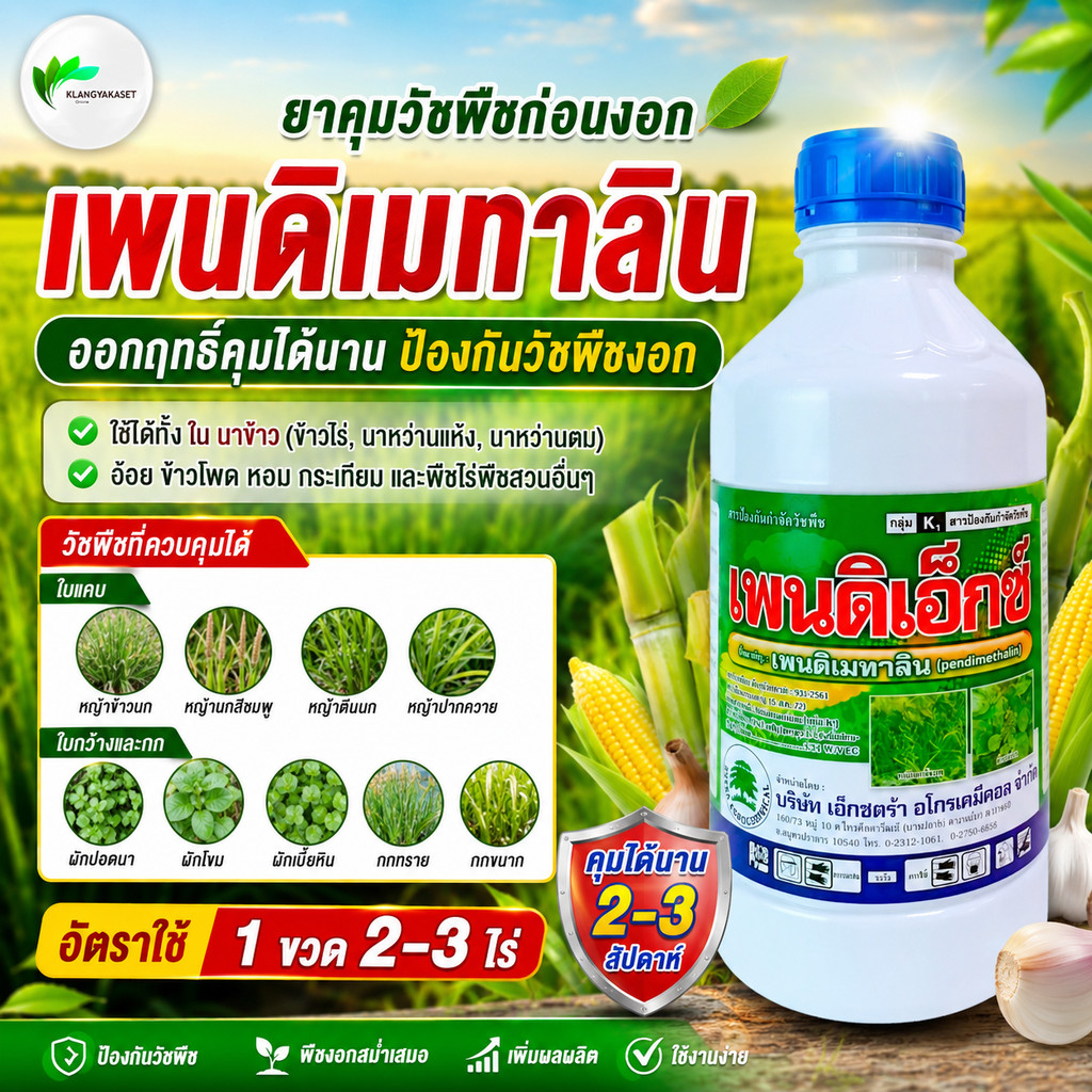 เพนดิเอ็กซ์1 ลิตร แพนดาลิน เพนดิเมทาลิน เรดด็อกคุม ยาเหลือง เพนดิเมทาลิน ยาคุมน้ำเหลือง คุมแห้ง