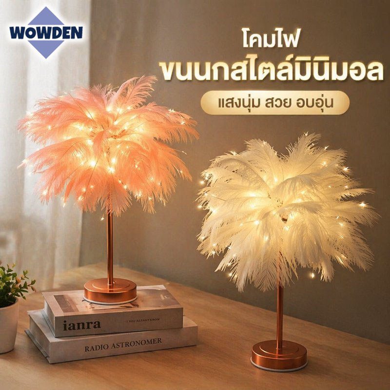โคมไฟตั้งโต๊ะ ขนนก LED รีโมทไร้สาย ปรับแสงได้ ไฟ USB หรือแบตเตอรี่ ตกแต่งห้องนอน