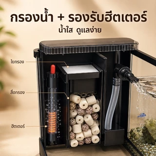 COD ตู้ปลาเชิงนิเวศน์ตั้งโต๊ะ 24นิ้ว กรองซ่อน น้ำตกใส ไฟLED อะคริลิกใสสูง มีฝาปิด ชุดตกแต่งครบ เหมาะสำหรับมือใหม่