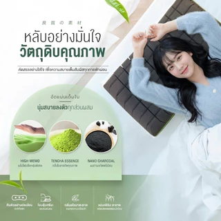 Orientas หมอนเต๋าสลบเหมือด Gyokuro หมอนเมมโมรี่โฟม เพื่อสุขภาพ ออกแบบ 2 โทน ส่วนผสม ชาเขียว ชาร์โคล