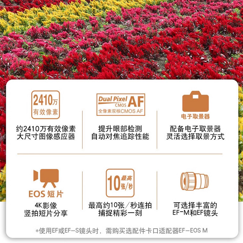 [ดําเนินการด้วยตนเอง] Canon Canon EOS M50 รุ่นที่สอง 15-45 ชุด M50mark2 กล้อง Mirrorless วิดีโอ 4K