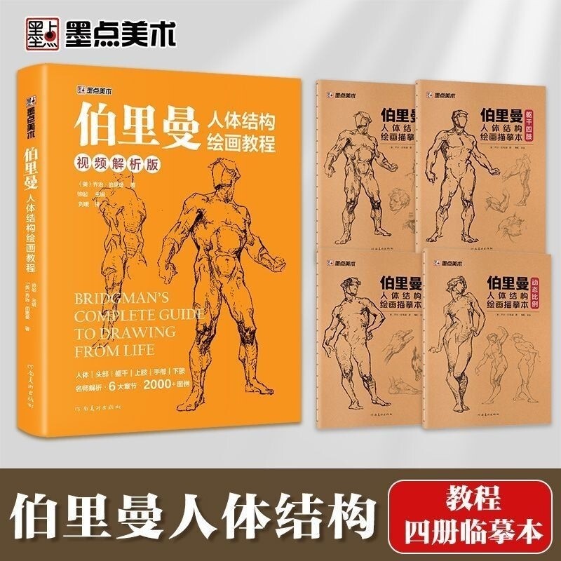 Berryman Human Body Structure Painting Tutorial Book Sketch Copy Book Exercise Book Human Body Struc