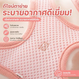 PawTica สายจูงแมวรัดอก เสื้อจูงแมวหมา น่ารักสุดๆ ลายหมี/กระต่าย น้ำหนักเบา ปรับกระชับ ช่วยลดการหลุด สำหรับสัตว์เลี้ยงเล็ก S/M