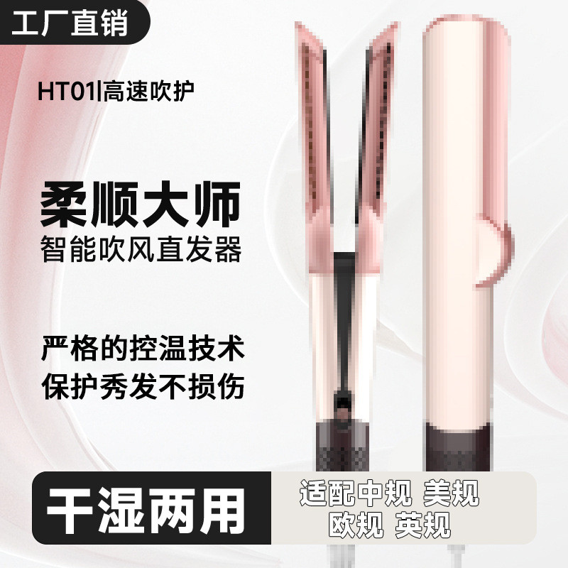Dai Shi Fu Hair Dryer and Straightener HT012-in-1 Multifunctional Ionic Electric Salon Tool