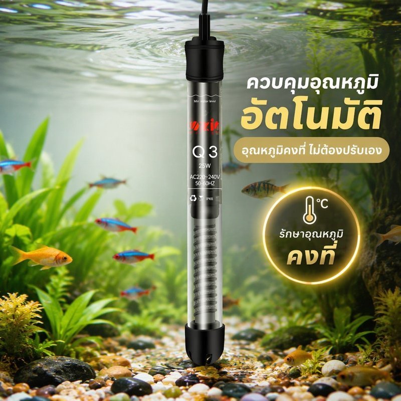ฮีทเตอร์ตู้ปลา BHQ ปรับอุณหภูมิ 20 32 องศา แท่งแก้วหนา ประหยัดไฟ ปลอดภัย สำหรับน้ำจืดน้ำทะเล