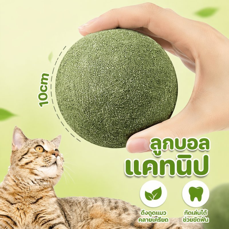 Catnip Ball ของเล่นแมวความเครียดบรรเทากัดม้วน Interactive Pet Treat Play Ball ขนาด 10 ชิ้นเดียว