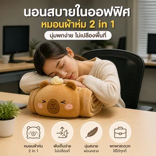 พร้อมส่ง หมอนผ้าห่ม 2in1 มีผ้าห่มในตัว ผ้านาโนนุ่ม ไซส์ 100x170 ซม. พกพาง่าย สำหรับออฟฟิศ งีบกลางวัน