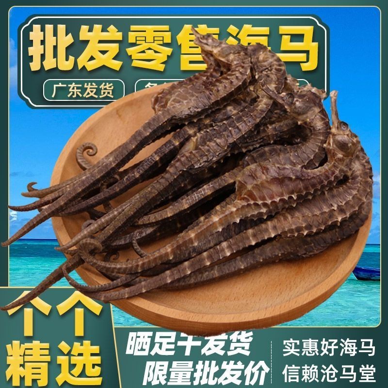 ม้าน้ําตากแห้ง 10 ชิ้นราคาเบาๆ เลือกแห้ง海马干货10条精华面马干湿泡母亲和孩子黑色三8.8