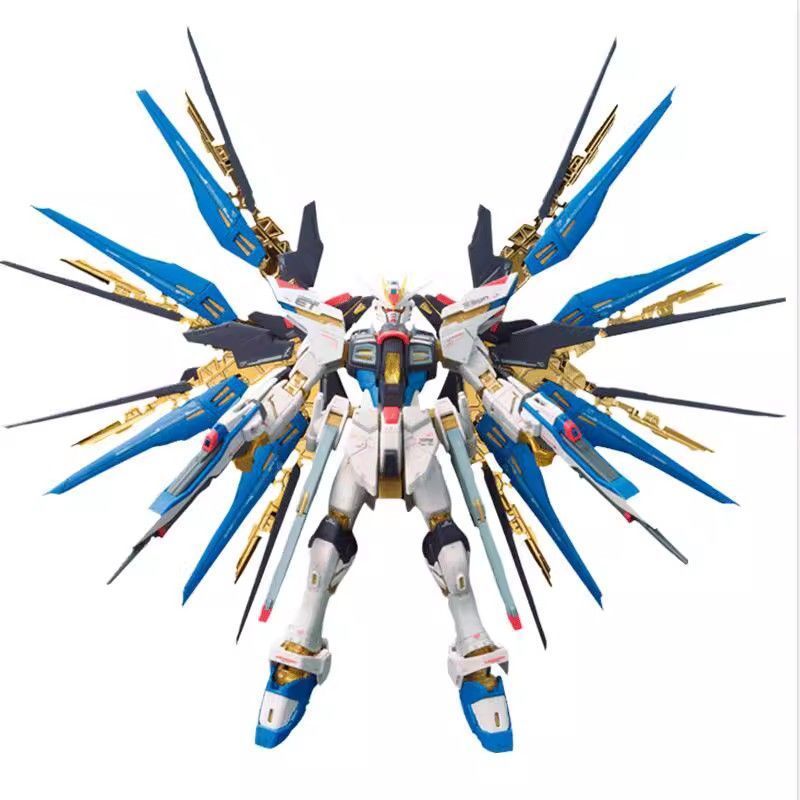 [Bandai] RG Strike Freedom Dare to 1/144 RG14 Strike Freedom Gundam Assembly Model
