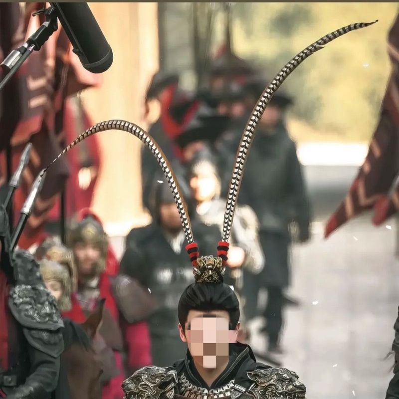Wu Anhou Headdress Feather Dance Props Feather Peking Opera Headdress Feather Mountain Feather Opera