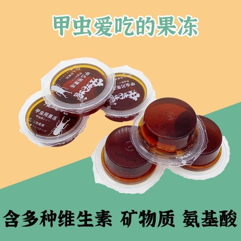 Beetle Jelly Unicorn Jelly อาหารแมลง Bulldog โปรตีนชายหนุ่ม Big Flat Ant Stag Beetle Jelly