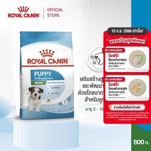 Royal Canin Mini Puppy 800g อาหารเม็ดลูกสุนัข พันธุ์เล็ก อายุ 2-10 เดือน (Dry Dog Food, โรยัล คานิน)