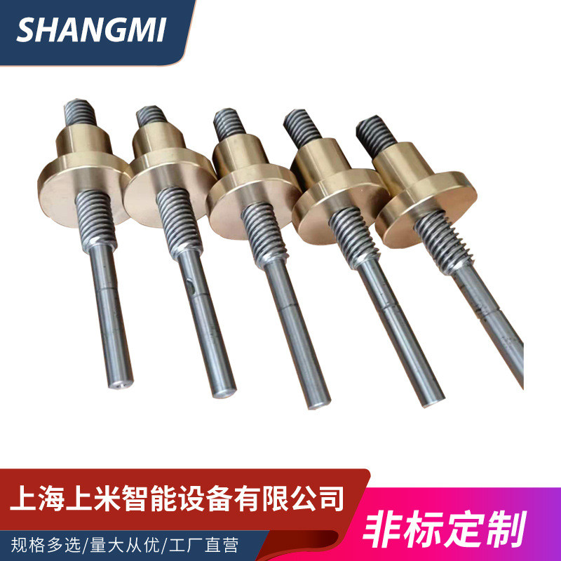 Positive ฟันลบ T-Shaped สกรู Rod Multi-Head Trapezoidal สกรู Rod Lift High-Strength m8T @-