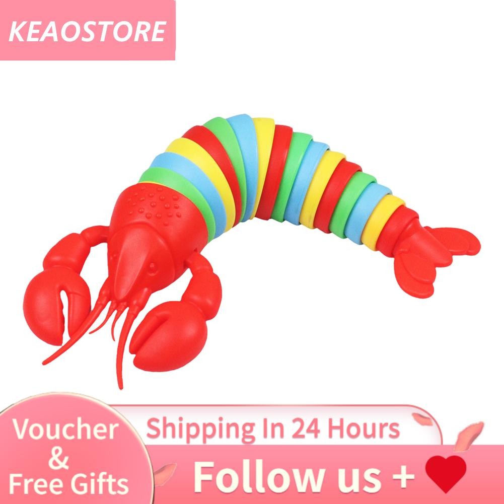 Keaostore-th Keaostore-th [End Online] (คำอธิบายที่ไม่มี Fidget Slug) UNZIP LOBSTER RAINBOW RAINBOW 