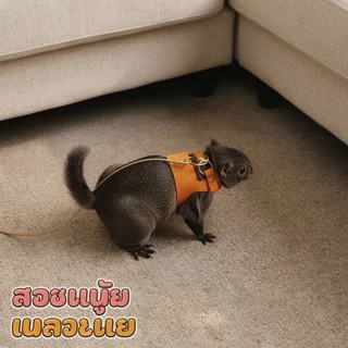 สายจูงสัตว์เล็ก สำหรับหนูแฮมสเตอร์ กระรอก เชือกจูงนุ่มเบา กันหลุด พกพาง่าย มีไซส์ S M L ชุด 3 ชิ้น