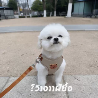 Meilovmao สายจูงสุนัข พร้อมเสื้อรัดอกแมว สายจูงสัตว์เลี้ยง ผ้าไมโครไฟเบอร์ ระบายอากาศ หลายสี หลายไซส์