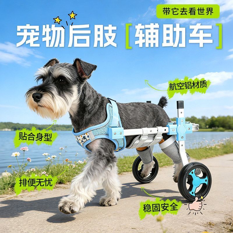 สัตว์เลี้ยง Retractable ด้านหลัง Limb รถเข็นสุนัข Disabled เสริม Walker โรงรถผู้สูงอายุยืนวงเล็บผู้ส
