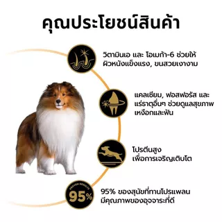 [เลือกขนาดได้] Purina PRO PLAN Dog อาหารสุนัข สุนัขโตพันธุ์กลาง รสไก่ Adult Medium Breed