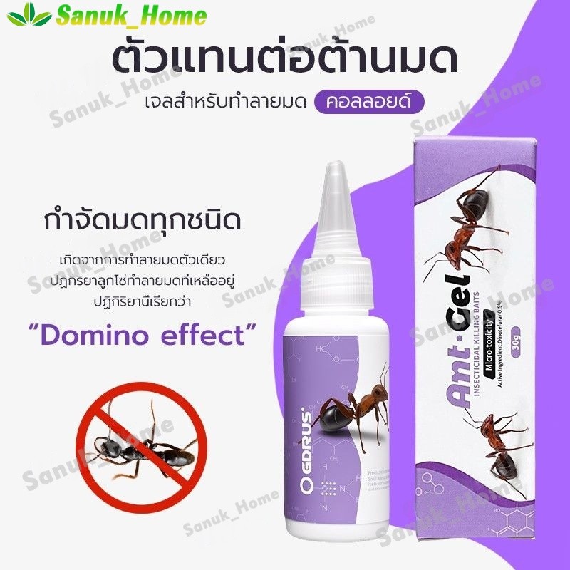 Antiant เจลกำจัดมด แอนติแอนท์ เหยื่อกำจัดมด เจลล่อมด หยดเดียวตายยกรัง 50g/30g เพิ่มปริมานขึ้น