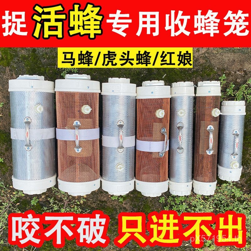 Hornet Bee CAGE Ground Catching Hornet Bee Catcher Hornet Bee Collection Bag Hornet Wild Collection 