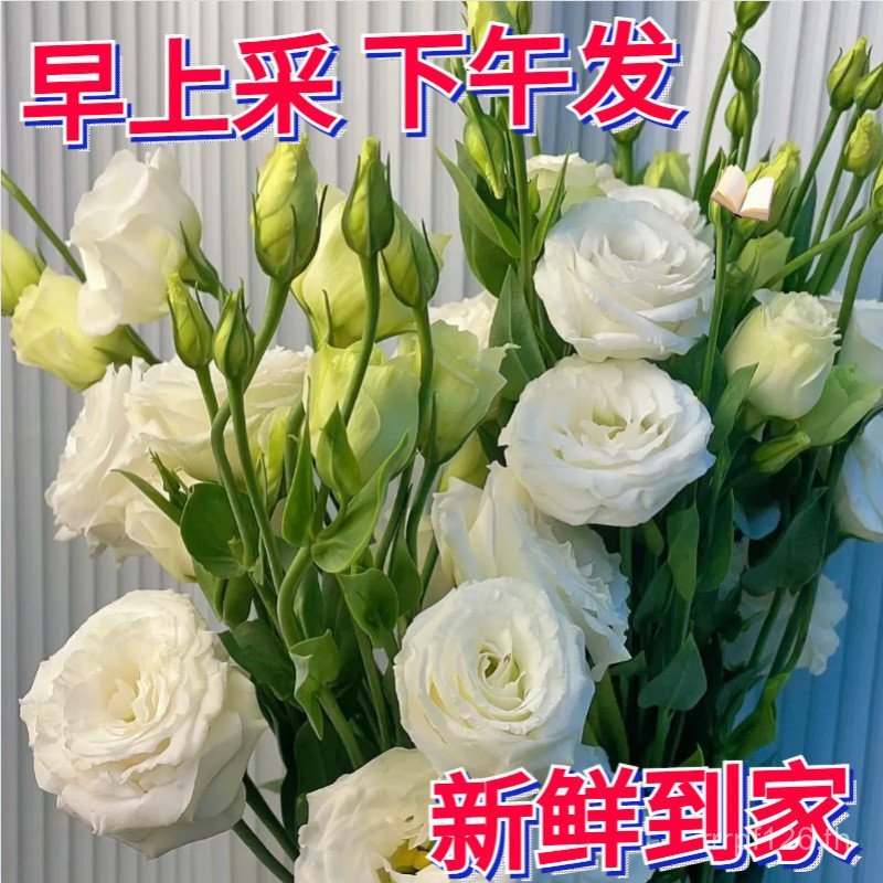 การจัดดอกไม้สดแบบ Bellflower สำหรับห้องนั่งเล่น พร้อมแจกันดอกไม้จาก Kunming