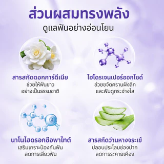 [ซื้อ 1 แถม 1] ยูมู ยาสีฟันม่วง ฟันขาว ลดคราบเหลือง ลดกลิ่นปาก ป้องกันฟันผุ 50ก