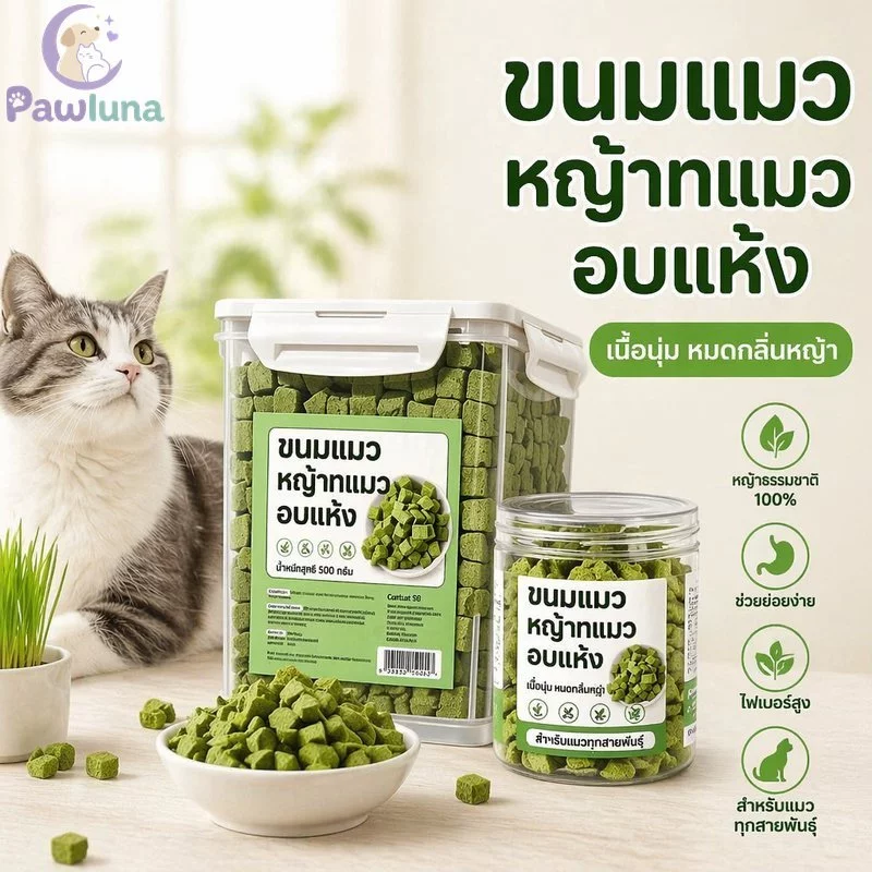 ขนมแมวหญ้าแมวฟรีซดราย คุกกี้มิ้นต์ Digestive Hairball Support ของว่างจากธรรมชาติ 1000g