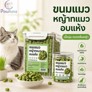 ขนมแมวหญ้าแมวฟรีซดราย คุกกี้มิ้นต์ Digestive Hairball Support ของว่างจากธรรมชาติ 1000g
