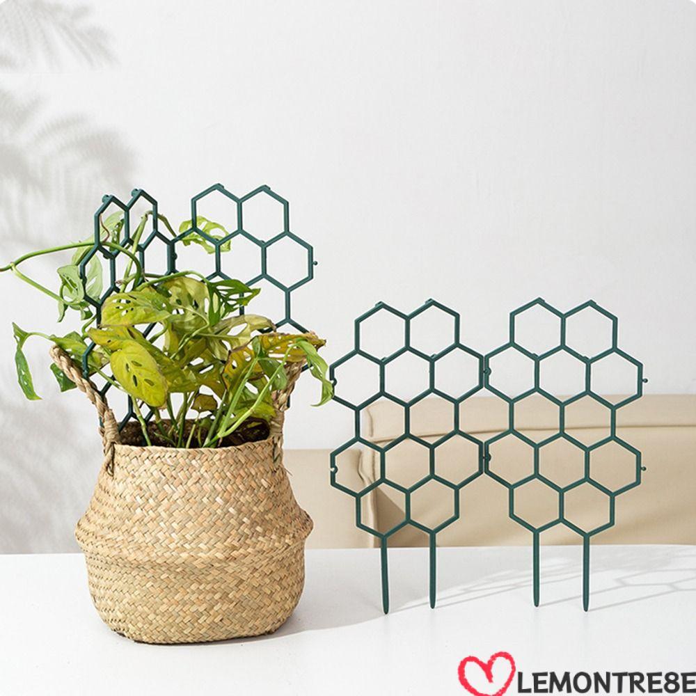LEMONTREE Plant Support