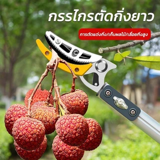 【รับประกัน 5 ปี】กรรไกรตัดผลไม้ ตัดกิ่งไม้เร็ว ประหยัดแรงงาน ยืดได้ 4.3mกรรไกรยาวSK5 กรรไกรตัดกิ่งด้ามยาว