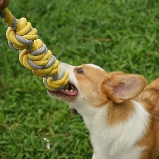 Happy PETs ของเล่นสุนัข เชือกกัดปมใหญ่ สีเหลือง เหมาะสำหรับสุนัขขนาดกลางขึ้นไป ของเล่นหมา