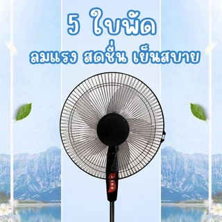 พัดลมตั้งพื้น 16 นิ้ว รุ่น พัดลมแรง ปรับลม 3 ระดับ เย็นเร็ว ใบพัด 5 ใบ แข็งแรง ใช้งานง่าย