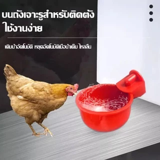 ชามดื่มน้ำไก่อัตโนมัติ 6/12/24ชิ้น ถังให้อาหารไก่ วัสดุPP แบบหนีบแขวน สำหรับไก่เป็ดห่านนกกระทา ป้องกันคุ้ยเขี่ย ลดน้ำหก