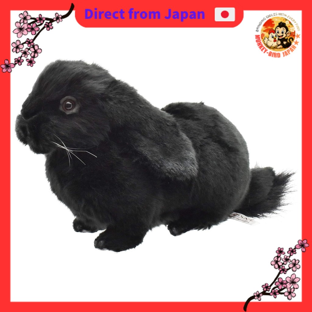 BH8142 HANSA Holland Lop Black 33 monkey bird shop JAPAN