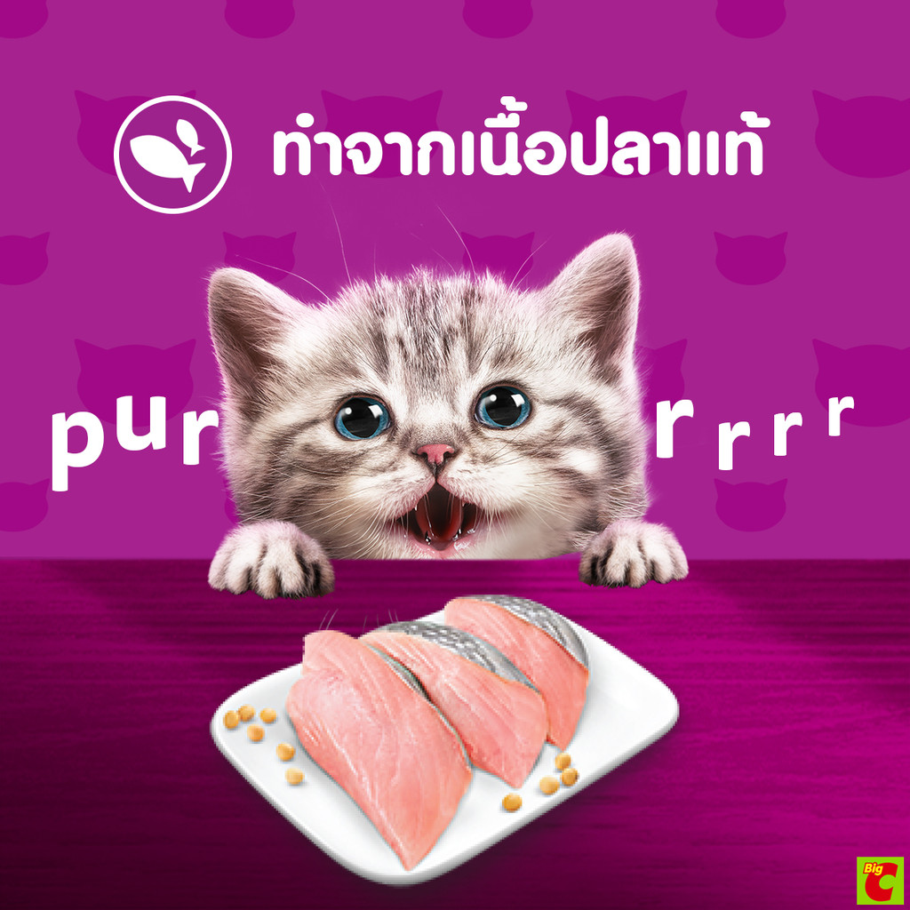 Whiskas Junior طعام قطط صغيرة رطب بالتونة 80 غ — صورة 6