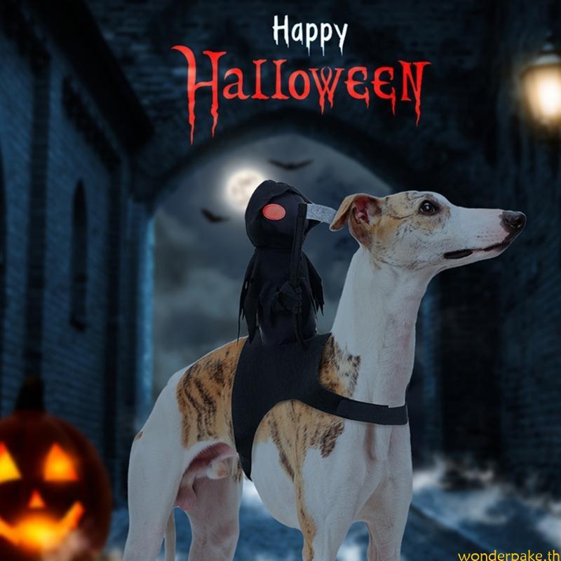 Wonder Happy Halloweens Transform Coat Set Novelty Clothing Festival Dog Costume