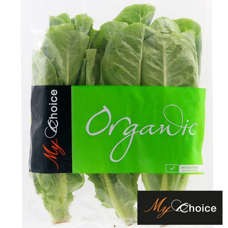 มายช้อยส์ผักสลัดคอสออร์แกนิค 150กรัม My Choice Cos Lettuce Organic 150g.