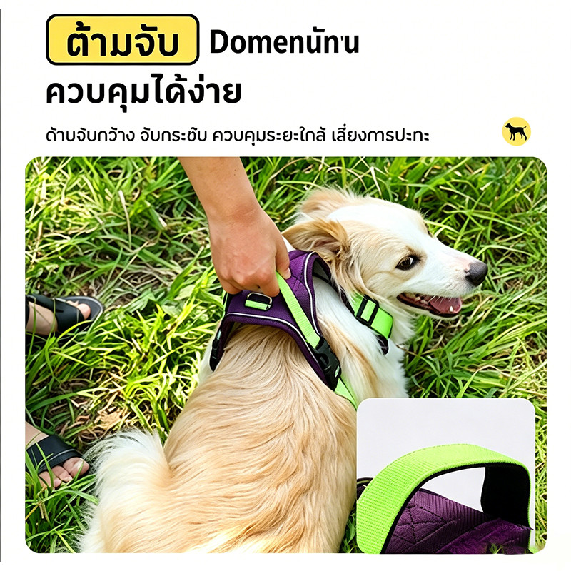 สายรัดอกสุนัข V-Shape กดใส่-ถอด 3วิ ไม่บีบคอ ระบายร้อน รูปที่ 3