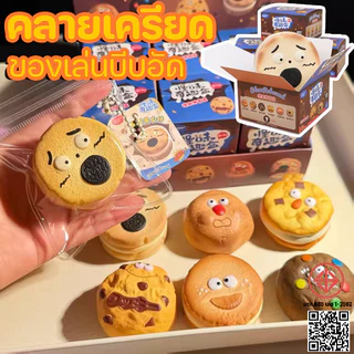 ของเล่นบีบอัด จุ่มคุ้กกี้ Chamelon ไซส์ยัก ของเล่น คลายเครียด กล่องสุ่ม 1 ชิ้น สุ่มบีบได้