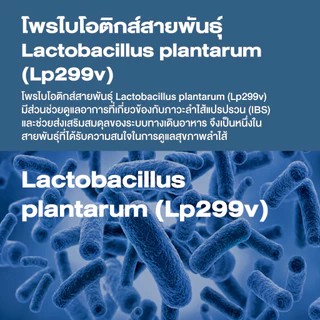 [แพ็คคู่ ]Swisse Daily Balance Probiotic เดลี่ บาลานซ์ โพรไบโอติก