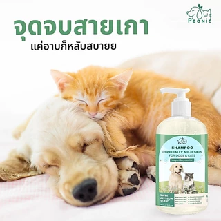 ✨กลิ่นหอมมาก✨แชมพูอาบน้ำหมา&แมว สูตรผิวแพ้ง่ายใช้ได้ ออร์แกนิค ขนนุ่มฟู ลดขนร่วง เข้าตาได้ไม่แสบ สูตรอ่อนโยน