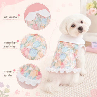 【พร้อมส่ง】เสื้อผ้าสัตว์เลี้ยง ชุดแมว ชุดหมา ลายน่ารักทิวลิปกระต่าย คอปกโบว์สีขาว กระโปรงลูกไม้ ฤดูร้อน XS-XXL