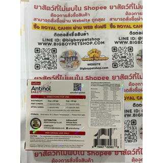 Antinol 60 แคปซูล ของแท้!! แพ็คเกจใหม่ อาหารเสริมบำรุงข้อ ข้ออักเสบ 1 กล่องบรรจุ 60 เม็ด