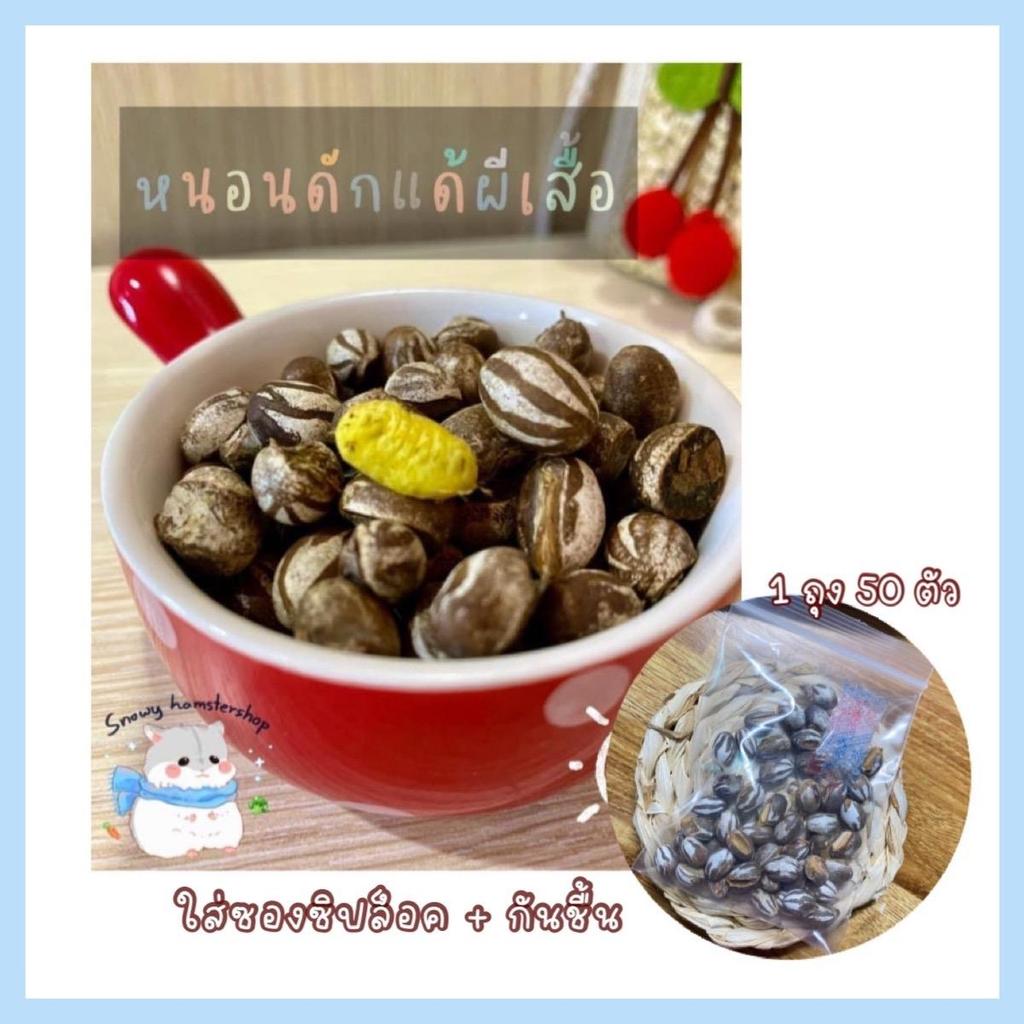 (100-150 ตัว)พร้อมส่ง️❤️ ดักแด้ชีสสำหรับสัตว์ อาหารสัตว์ แฮมเตอร์ แฟตเทล ชูการ์ กระรอก โปรตีนสูง อบแห้ง เสริมโปรตีน