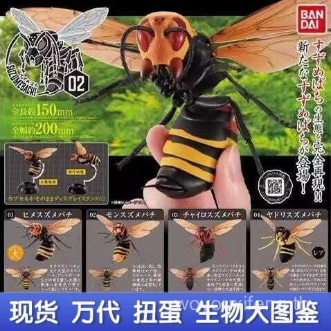 Bandai แคปซูลของเล่นชีวภาพ Big Illustrated Book Bumblebee 02 แมลงรุ่น Hornet Hornet Sparrow Bee Para