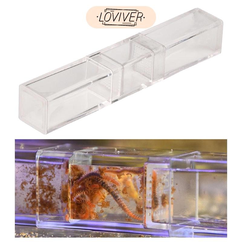 เครื่องดักหนอนแบนเครื่องมือจับหนอนพิพิธภัณฑ์สัตว์น้ําทางทะเล Double Head Leeches Catcher