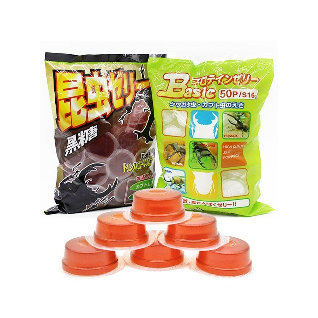 Stag Beetle อาหาร Ant Feed สัตว์เลี้ยงแมลงน้ําตาลทรายแดงด้วงยูนิคอร์นอาหารไต้หวันกินโปรตีน Jelly ผู้