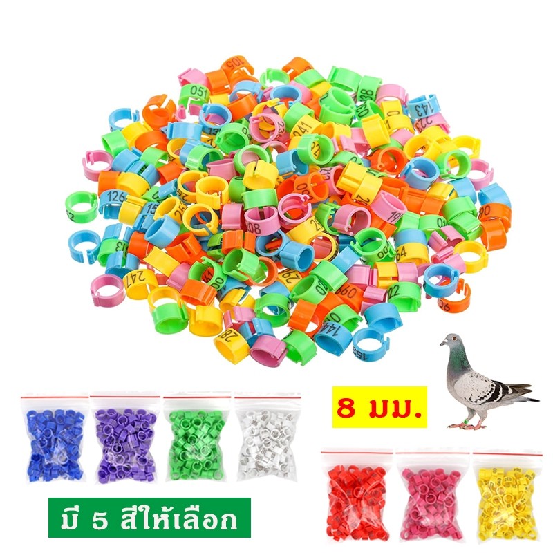 ถูก 100ชิ้น ห่วงขานกเขา 8mm ห่วงขานก นกพิราบ นกเขาชวาคละสี