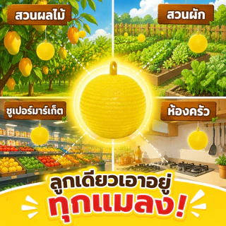 🔥รุ่นอัพเกรด 🔥ได้ผล3ปี🦟ลูกบอลดักแมลง กวาทรงพลัง กันน้ำกันแดด กาวดักแมลงหวี่ ที่ดักแมลงวันทอง กาวดักแมลงวัน ไม่ละลายกาว