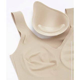 Sabina เสื้อใน * แบบสวม บราไร้โครง M L Xl Seamless fit รหัส (SBXK108) / NBK24006 / NBD24005